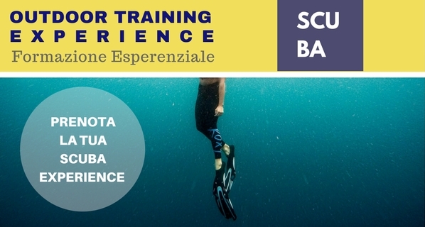 Scuba Training